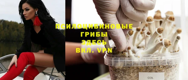 таблы Арсеньев